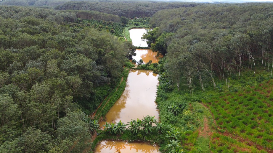 Khắc phục xong sự cố vỡ hố chứa r&aacute;c ở Quảng Ng&atilde;i- Ảnh 6.