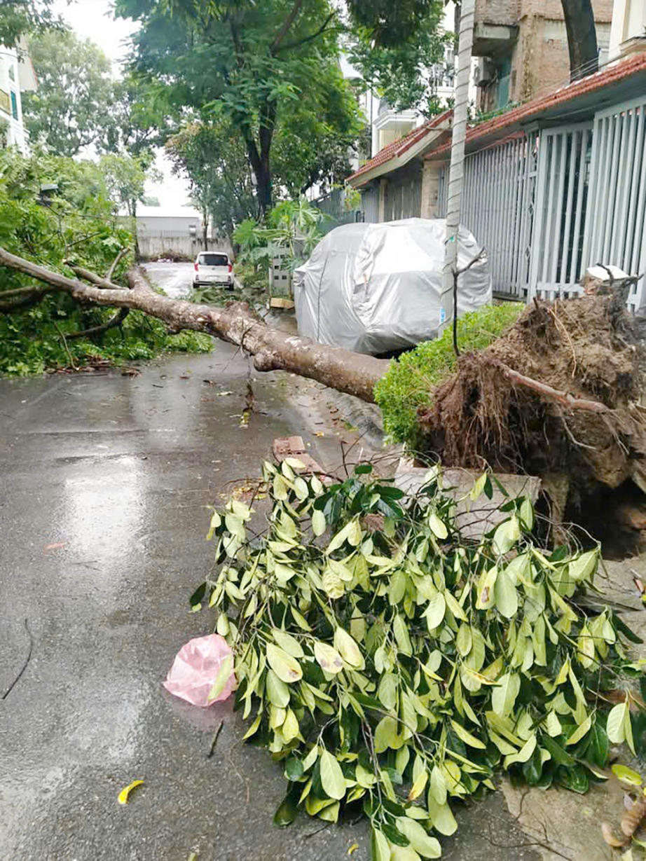 H&agrave; Nội chủ động khắc phục hậu quả mưa b&atilde;o- Ảnh 4.