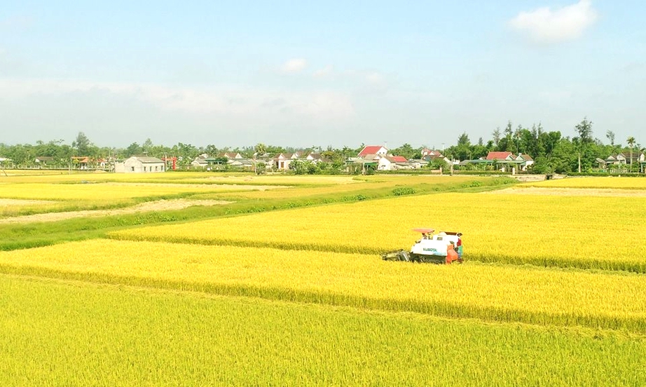 Bộ tiêu chí mới mở đường xây dựng nông thôn mới ở Hà Tĩnh- Ảnh 1. Bộ tiêu chí mới mở đường xây dựng nông thôn mới ở Hà Tĩnh- Ảnh 1.