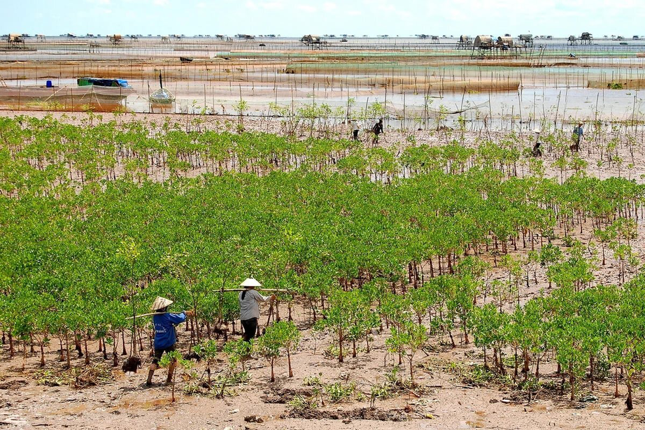Từ ứng ph&oacute; biến đổi kh&iacute; hậu đến kiến tạo m&ocirc; h&igrave;nh tăng trưởng mới- Ảnh 2.