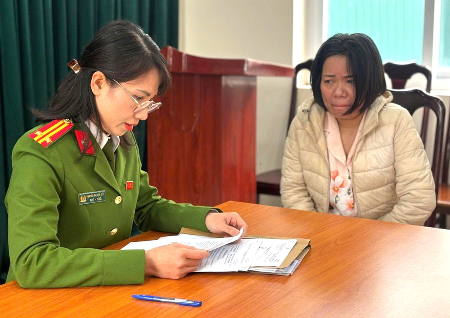 Bắt tạm giam nữ gi&uacute;p việc bạo h&agrave;nh cụ b&agrave; 82 tuổi ở H&agrave; Nội- Ảnh 1.