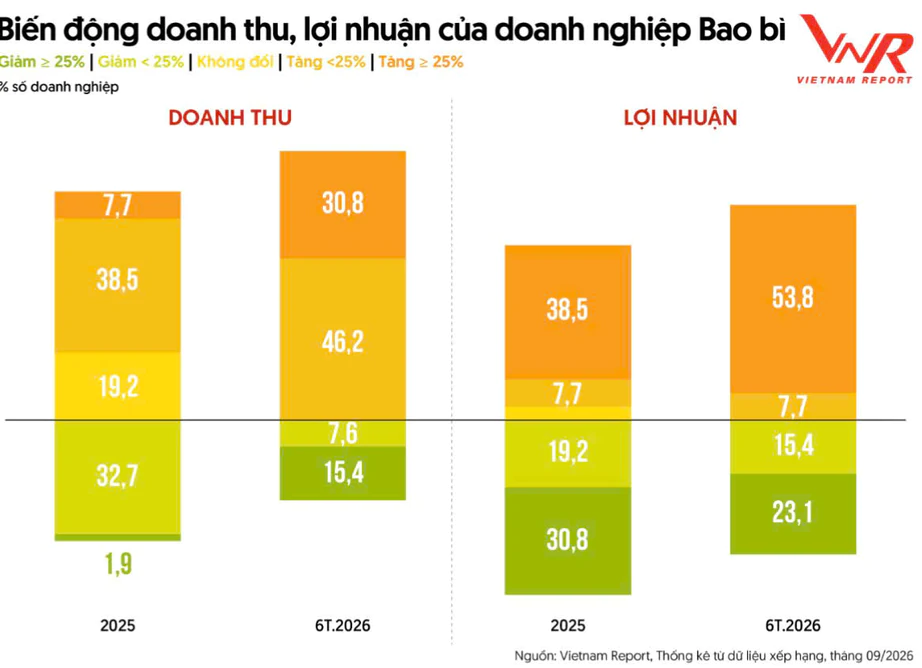 Ng&agrave;nh bao b&igrave;: Doanh thu tăng, lợi nhuận vẫn hụt hơi- Ảnh 1.