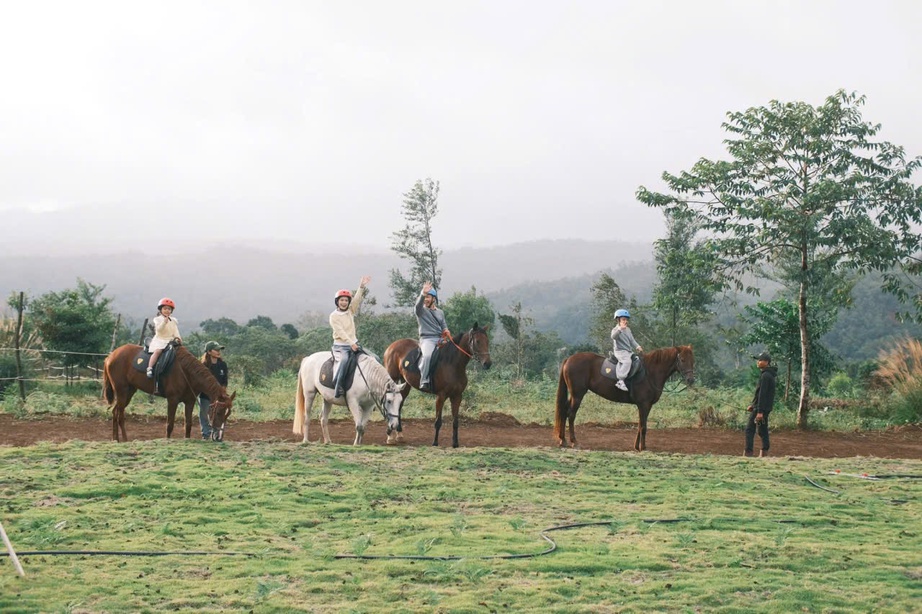 Lên Măng Đen cưỡi ngựa đón năm mới Bính Ngọ giữa cao nguyên mờ sương - Ảnh 4. Lên Măng Đen cưỡi ngựa đón năm mới Bính Ngọ giữa cao nguyên mờ sương - Ảnh 4.