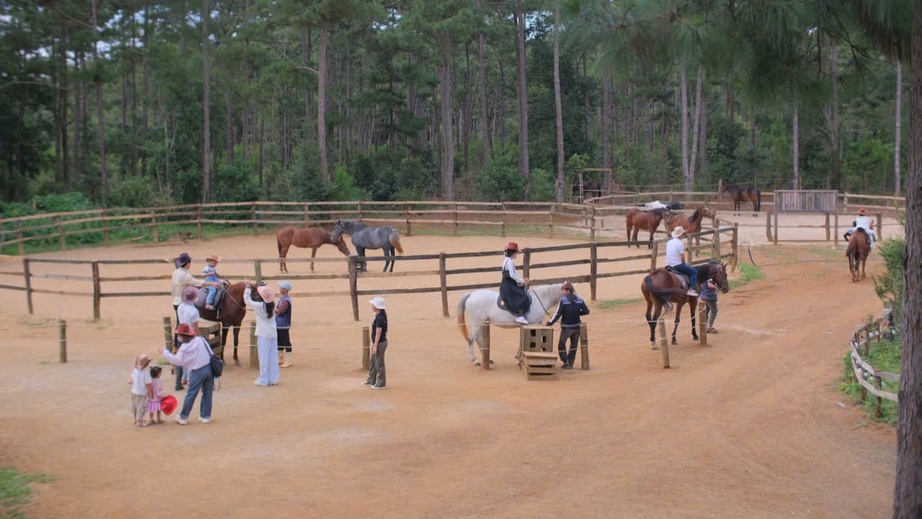 Lên Măng Đen cưỡi ngựa đón năm mới Bính Ngọ giữa cao nguyên mờ sương - Ảnh 2. Lên Măng Đen cưỡi ngựa đón năm mới Bính Ngọ giữa cao nguyên mờ sương - Ảnh 2.
