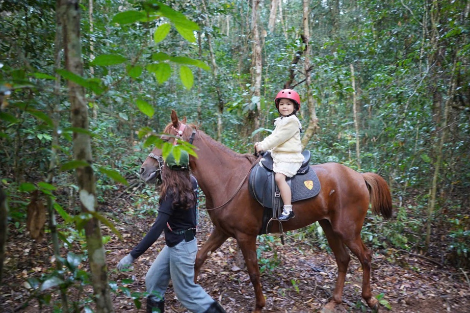 Lên Măng Đen cưỡi ngựa đón năm mới Bính Ngọ giữa cao nguyên mờ sương - Ảnh 10. Lên Măng Đen cưỡi ngựa đón năm mới Bính Ngọ giữa cao nguyên mờ sương - Ảnh 10.