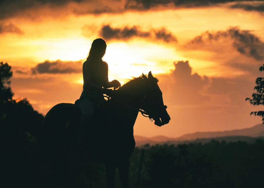 Lên Măng Đen cưỡi ngựa đón năm mới Bính Ngọ giữa cao nguyên mờ sương - Ảnh 11. Lên Măng Đen cưỡi ngựa đón năm mới Bính Ngọ giữa cao nguyên mờ sương - Ảnh 11.