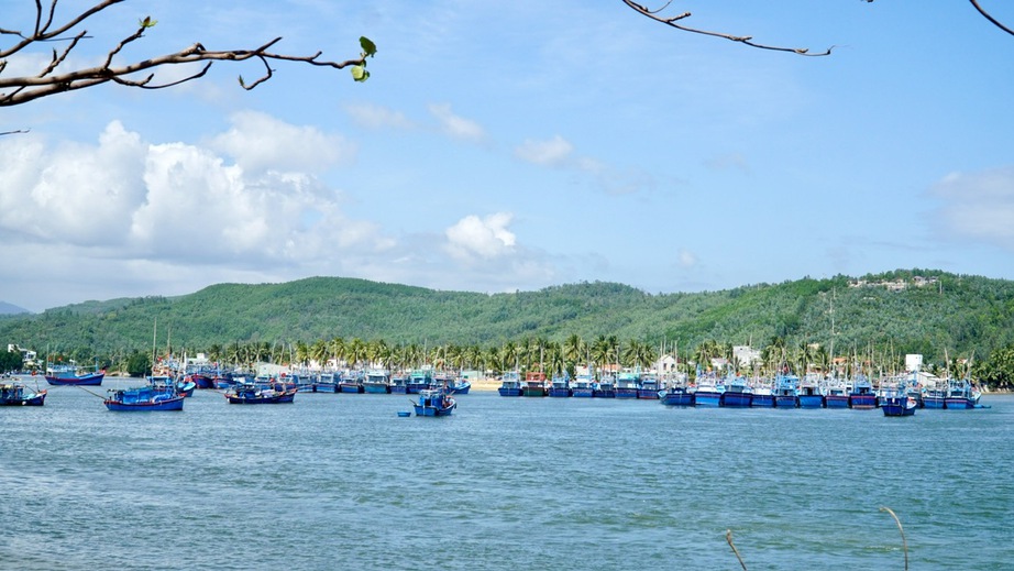 Gia Lai: T&agrave;u thuyền hối hả vươn khơi b&aacute;m biển đầu xu&acirc;n- Ảnh 11.