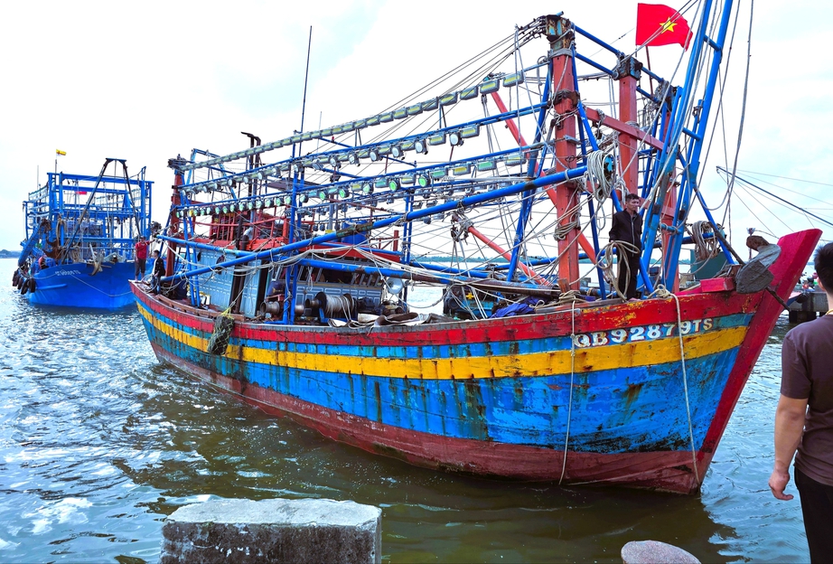 Ngư d&acirc;n Quảng Trị vươn khơi, khoang t&agrave;u đầy ắp &ldquo;lộc&rdquo; biển đầu năm- Ảnh 9.