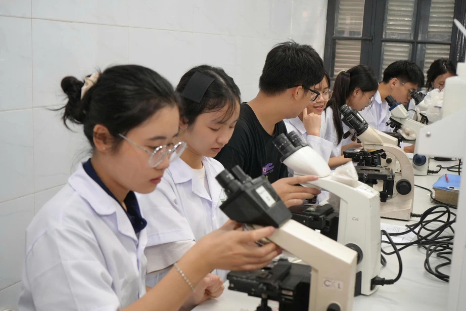 15 trường y dược c&ocirc;ng bố phương &aacute;n tuyển sinh 2026- Ảnh 1.