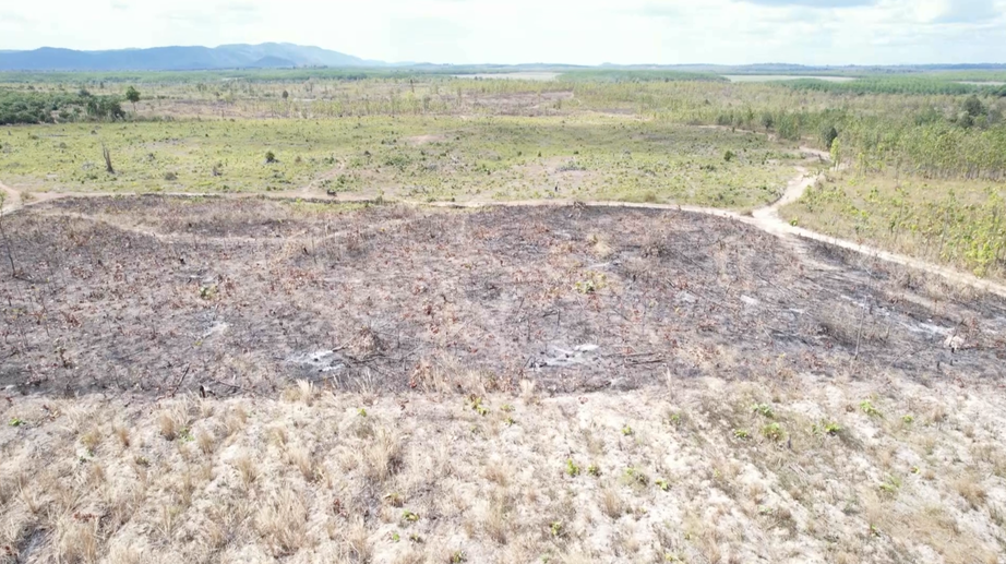 Gia Lai: Khởi tố 4 vụ ph&aacute; trắng rừng với diện t&iacute;ch gần 90.00m&sup2;- Ảnh 1.