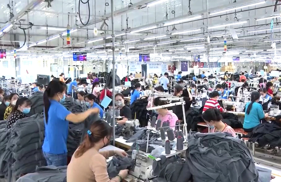 Nghịch l&yacute; lao động tại Cần Thơ: Nguồn cung kh&ocirc;ng thiếu nhưng doanh nghiệp kh&oacute; tuyển- Ảnh 3.