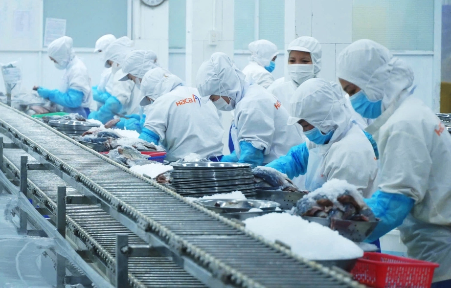 Nghịch l&yacute; lao động tại Cần Thơ: Nguồn cung kh&ocirc;ng thiếu nhưng doanh nghiệp kh&oacute; tuyển- Ảnh 2.