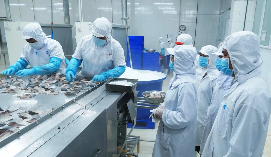 Nghịch l&yacute; lao động tại Cần Thơ: Nguồn cung kh&ocirc;ng thiếu nhưng doanh nghiệp kh&oacute; tuyển- Ảnh 1.