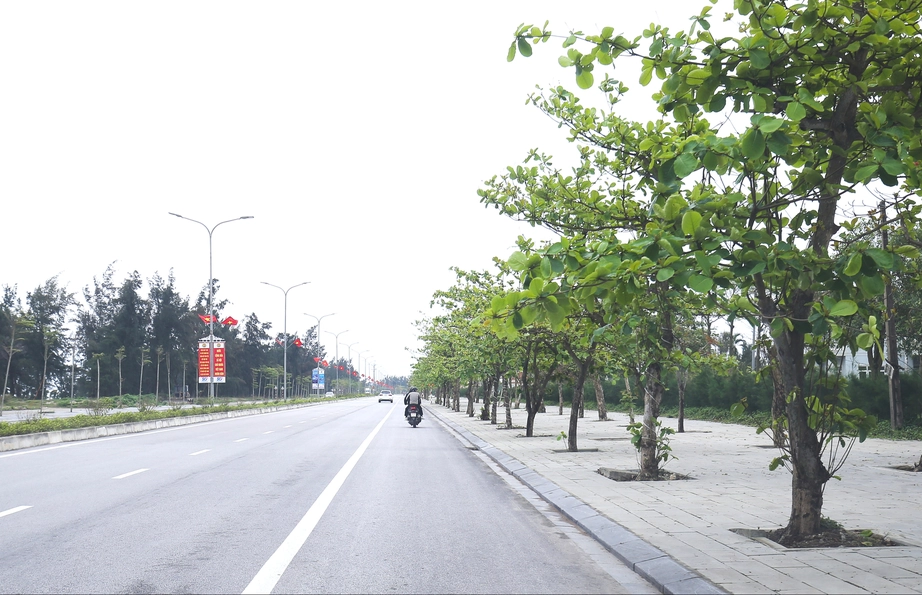 Nghệ An: Trồng rừng dừa xanh tạo điểm nhấn biển Cửa L&ograve; trước m&ugrave;a du lịch- Ảnh 4.