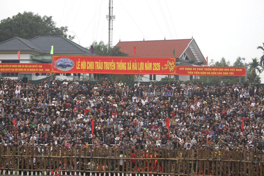 Ph&uacute; Thọ: H&agrave;ng ngh&igrave;n người dự lễ hội chọi tr&acirc;u truyền thống Hải Lựu năm 2026- Ảnh 1.