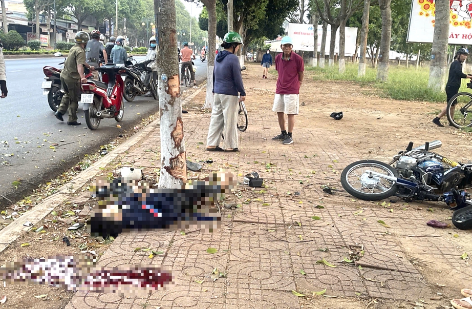 Xe máy chở ba tông vào gốc cây bên đường ở Đắk Lắk, hai người tử vong- Ảnh 1. Xe máy chở ba tông vào gốc cây bên đường ở Đắk Lắk, hai người tử vong- Ảnh 1.