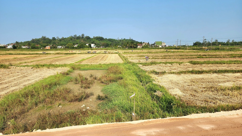 Quảng Ng&atilde;i gỡ vướng mặt bằng đẩy mạnh thi c&ocirc;ng đường 3.500 tỷ - Ảnh 14.