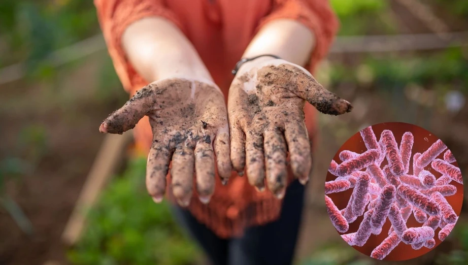 Bệnh Whitmore l&agrave;m 23 người tử vong tại Th&aacute;i Lan, Bộ Y tế khuyến c&aacute;o g&igrave;?- Ảnh 1.