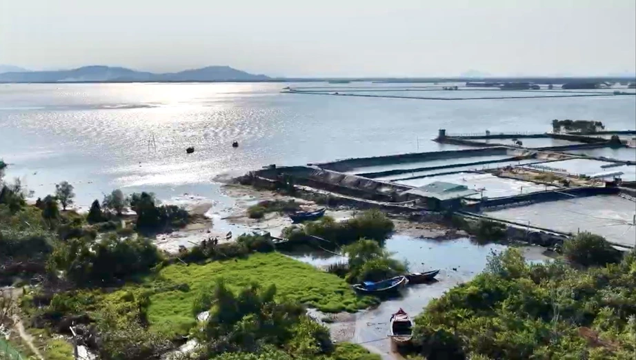 Gia Lai hỗ trợ giải bản t&agrave;u c&aacute; kh&ocirc;ng đủ điều kiện hoạt động- Ảnh 5.