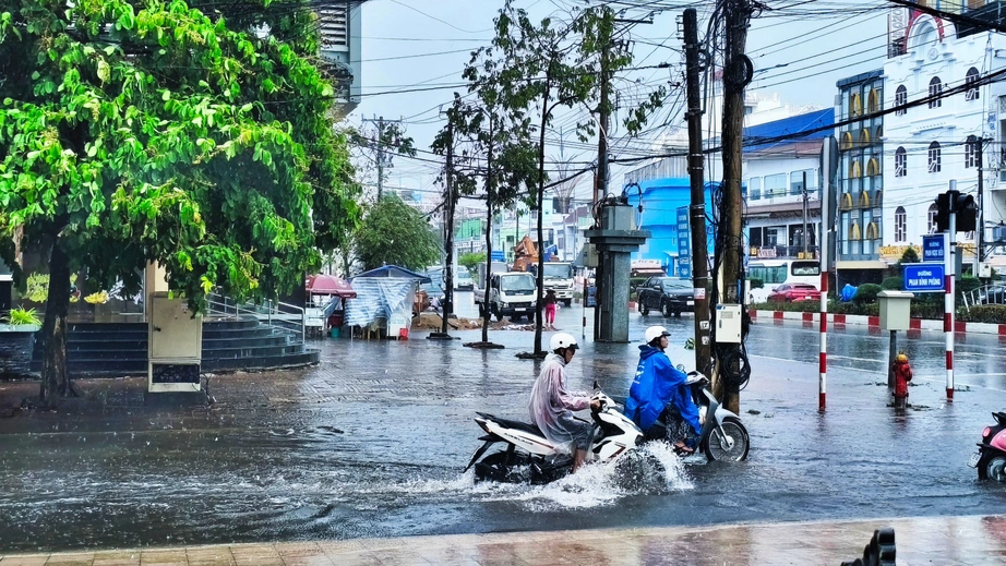 C&agrave; Mau l&agrave;m g&igrave; để bảo vệ m&ocirc;i trường, th&iacute;ch ứng biến đổi kh&iacute; hậu?- Ảnh 2.