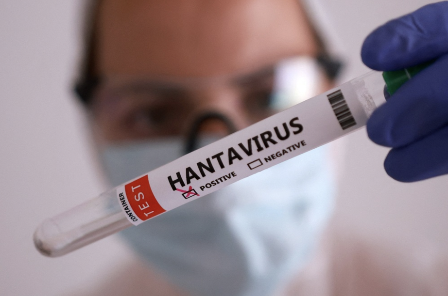 WHO cảnh b&aacute;o c&oacute; thể xuất hiện th&ecirc;m ca mắc hantavirus- Ảnh 1.