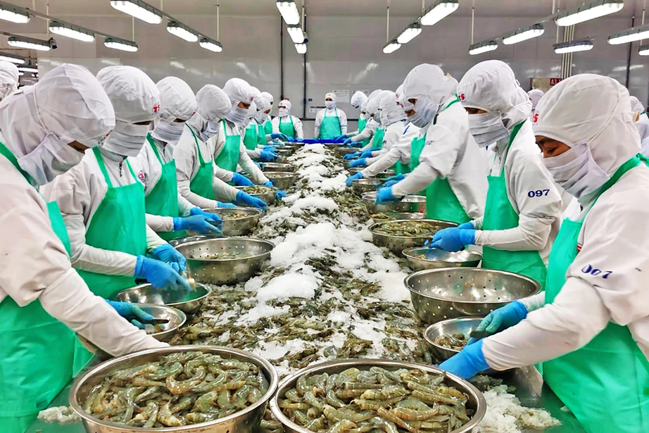 Giải b&agrave;i to&aacute;n &ldquo;xuất khẩu lớn, thương hiệu nhỏ&rdquo; - Ảnh 1.