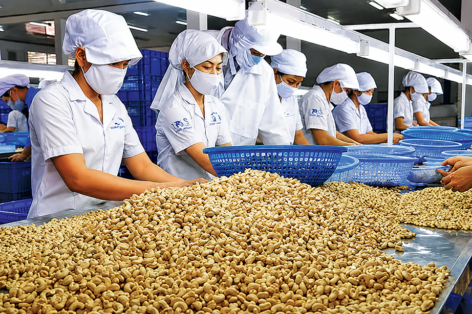 Giải b&agrave;i to&aacute;n &ldquo;xuất khẩu lớn, thương hiệu nhỏ&rdquo; - Ảnh 2.
