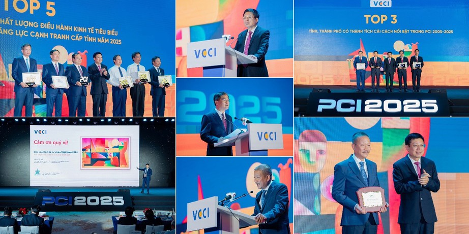 PCI 2.0: Từ cải c&aacute;ch thể chế đến năng lực cạnh tranh của doanh nghiệp- Ảnh 1.