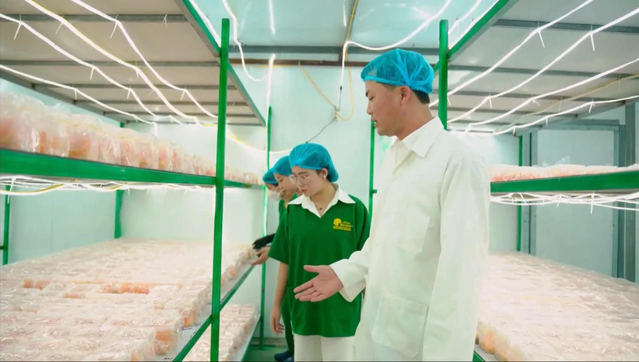 Ph&uacute; Thọ đ&oacute;n khoảng 350.000 lượt kh&aacute;ch, với doanh thu gần 370 tỷ đồng dịp 2/9 - Ảnh 4.