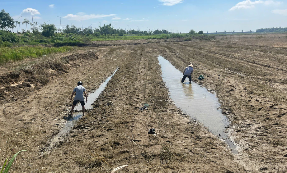 Quảng Ng&atilde;i: C&aacute; chết d&agrave;y đặc tr&ecirc;n s&ocirc;ng Tr&agrave; Kh&uacute;c sau khi đập d&acirc;ng th&aacute;o van xả nước- Ảnh 9.