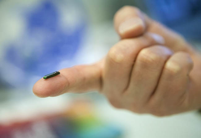 15. Năm 2015,&nbsp;người Thụy Điển đ&atilde; thực hiện việc cấy chip điện tử tr&ecirc;n da.&nbsp;Thao t&aacute;c rất đơn giản, người ta&nbsp;sử dụng ống ti&ecirc;m để ti&ecirc;m một con chip dưới da&nbsp;.&nbsp;N&oacute; tr&ocirc;ng giống như một sợi d&acirc;y mỏng.&nbsp;Ch&uacute;ng chứa th&ocirc;ng tin về thẻ t&iacute;n dụng, tất cả c&aacute;c thẻ truy cập, giấy ph&eacute;p l&aacute;i xe v&agrave; tất cả c&aacute;c dữ liệu quan trọng kh&aacute;c.&nbsp;Những con chip n&agrave;y c&oacute; gi&aacute; từ 150 đến 200 đ&ocirc; la.

