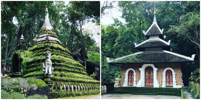 Wat Palad (Wat Pha Lat), Chiang Mai: Đ&acirc;y l&agrave; một ng&ocirc;i đền nằm gọn trong rừng, hầu như kh&ocirc;ng c&oacute; kh&aacute;ch du lịch, v&agrave; kh&ocirc;ng mất ph&iacute; v&agrave;o cửa. Một cảm gi&aacute;c thực sự nhẹ nh&otilde;m v&agrave; thư th&aacute;i khi gh&eacute; thăm nơi n&agrave;y.
