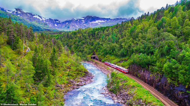 Tuyến t&agrave;u hỏa Oslo-Bergen đi qua những khu rừng đẹp ở v&ugrave;ng Voss.