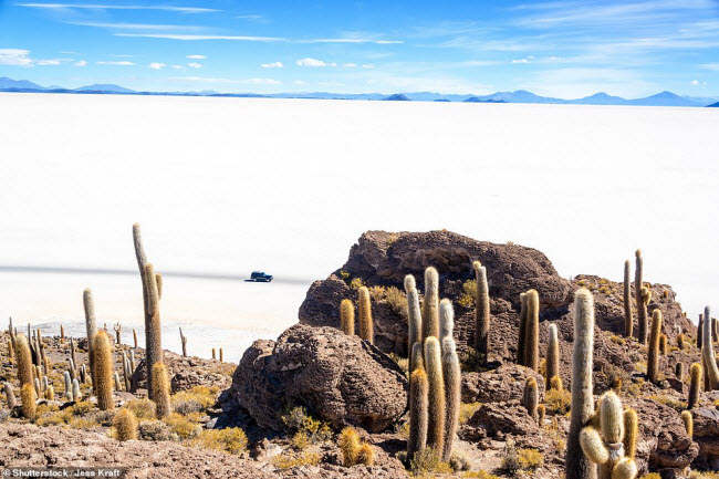 Phong cảnh đẹp m&ecirc; hồn của c&aacute;nh đồng muối lớn nhất thế giới, Salar de Uyuni, ở Bolivia. Khu vực rộng 12.000 m n&agrave;y từng l&agrave; một hồ nước rộng lớn c&aacute;ch đ&acirc;y h&agrave;ng triệu năm.
