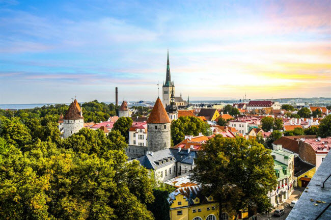 Estonia: Khu phố cổ ở thủ đ&ocirc; Tallinn được UNESCO c&ocirc;ng nhận l&agrave; di sản thế giới. Nơi đ&acirc;y l&agrave; một trong những kho b&aacute;u thời trung cổ của ch&acirc;u &Acirc;u. Du kh&aacute;ch c&oacute; thể kh&aacute;m ph&aacute; đường phố l&aacute;t đ&aacute; cuội, c&aacute;c c&ocirc;ng tr&igrave;nh kiến tr&uacute;c cổ như trong truyện cổ t&iacute;ch. Estonia cũng g&acirc;y ấn tượng với nhiều b&atilde;i biển v&agrave; h&ograve;n đảo đẹp.
