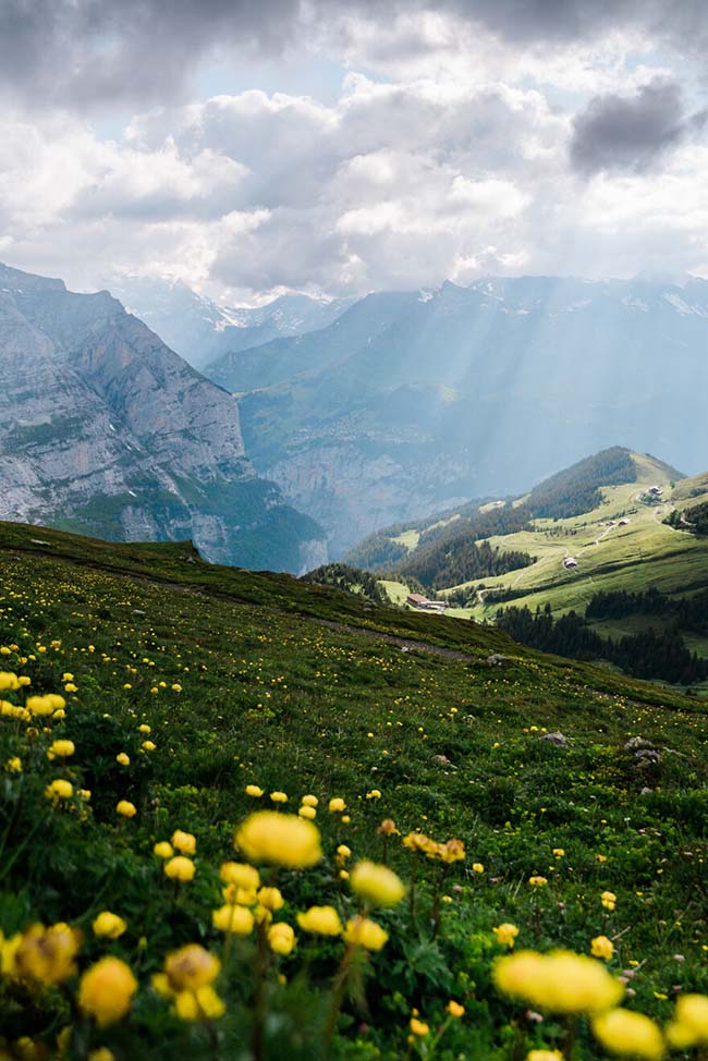 10. Ở dưới ch&acirc;n d&atilde;y n&uacute;i Alps của Thụy Sĩ c&oacute; nhiều ng&ocirc;i l&agrave;ng nhỏ như Grindelwald. Đ&acirc;y l&agrave; nơi bạn ho&agrave;n to&agrave;n h&ograve;a m&igrave;nh v&agrave;o thi&ecirc;n nhi&ecirc;n, h&iacute;t thở bầu kh&ocirc;ng kh&iacute; trong l&agrave;nh của n&uacute;i rừng.
