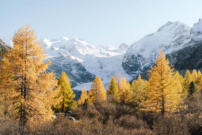 9. C&oacute; nhiều biển b&aacute;o tr&ecirc;n những con đường m&ograve;n ở nơi n&agrave;y, cho ph&eacute;p bạn kh&aacute;m ph&aacute; d&atilde;y n&uacute;i Alps một c&aacute;ch an to&agrave;n khi biết ch&iacute;nh x&aacute;c nơi m&igrave;nh muốn đến.
