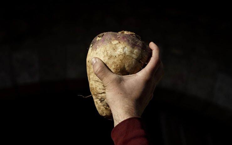 4. Mặc d&ugrave; nguồn gốc ch&iacute;nh x&aacute;c của lễ hội n&agrave;y chưa được x&aacute;c định nhưng n&oacute; được lan truyền với nhiều giả thuyết kh&aacute;c nhau. Một số người tin rằng, đ&acirc;y l&agrave; h&igrave;nh phạt đối của thần Hercules đối với Cacus &ndash; một t&ecirc;n ăn trộm gia s&uacute;c.
