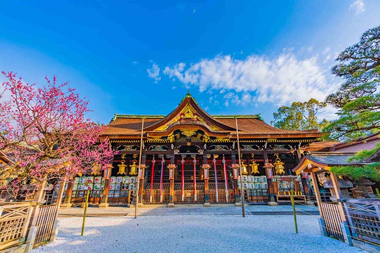 12. Đền Kitano Tenmangu c&oacute; khoảng 1.500 c&acirc;y mận của 50 lo&agrave;i kh&aacute;c nhau. Từ đầu th&aacute;ng 2 đến cuối th&aacute;ng 3, con đường đi bộ ở đ&acirc;y sẽ ngập tr&agrave;n hoa mận nở. Nơi n&agrave;y c&ograve;n c&oacute; một qu&aacute;n tr&agrave; v&agrave; đồ ngọt lu&ocirc;n tấp nập kh&aacute;ch.