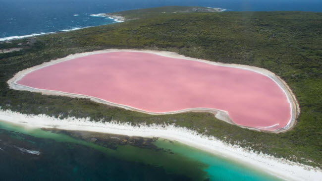 Hồ Hillier, Australia: Hồ nước mặn tr&ecirc;n quần đảo Recherch&eacute; nổi tiếng với nước m&agrave;u hồng, được cho l&agrave; tạo ra bởi một loại tảo khi ch&uacute;ng sinh s&ocirc;i mạnh.
