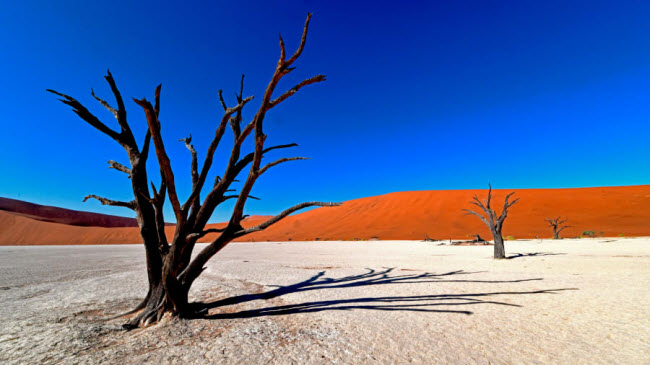 V&ugrave;ng l&ograve;ng chảo Dead Vlei, Namibia: L&agrave; một trong những địa điểm du lịch hấp dẫn nhất ở Namibia, v&ugrave;ng l&ograve;ng chảo Dead Vlei nằm giữa những cồn c&aacute;t cao nhất thế giới, với một số cao tới 400m.
