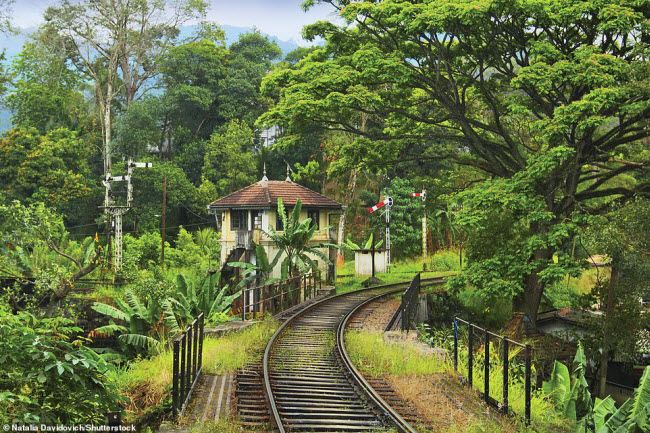 Đường sắt Kandy&ndash;Badulla Line, Sri Lanka: Với rừng nhiệt đới bao quanh hai b&ecirc;n, đ&acirc;y được coi l&agrave; một trong những tuyến đường sắt c&oacute; phong cảnh đẹp nhất tr&ecirc;n thế giới.