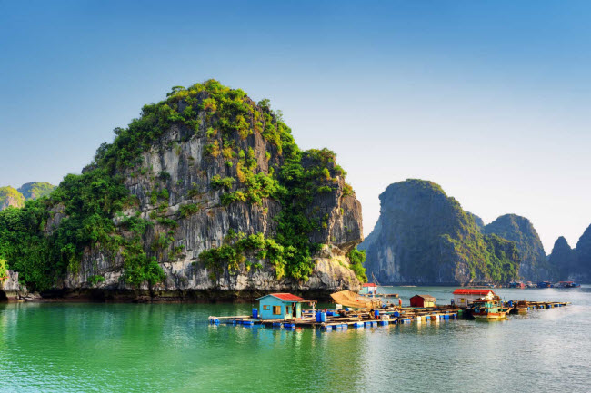 Cư d&acirc;n sống tr&ecirc;n c&aacute;c ng&ocirc;i l&agrave;ng nổi chủ yếu sống bằng nghề nu&ocirc;i trồng thủy sản v&agrave; phục vụ kh&aacute;ch du lịch.