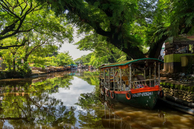 Ng&ocirc;i l&agrave;ng Kumarakom cũng được coi l&agrave; thi&ecirc;n đường d&agrave;nh cho những lo&agrave;i chim qu&yacute; hiếm.