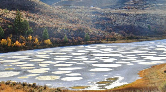 Hồ đốm, Canada: Hồ Spazed rất độc đ&aacute;o nằm ở thị trấn nhỏ Osoyoos. V&agrave;o m&ugrave;a h&egrave;, nước của hồ bốc hơi v&agrave; bỏ lại c&aacute;c vũng kho&aacute;ng nhỏ với nhiều m&agrave;u kh&aacute;c nhau.&nbsp;
