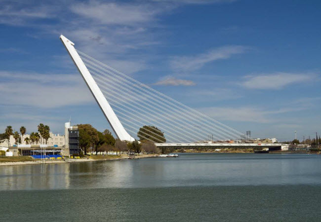 Cầu Puente del Alamillo, T&acirc;y Ban Nha: C&acirc;y cầu c&oacute; h&igrave;nh dạng giống một c&acirc;y đ&agrave;n hạc khổng lồ. C&ocirc;ng tr&igrave;nh được giữ vững bởi 13 cụm d&acirc;y c&aacute;p v&agrave; một trụ nghi&ecirc;ng với g&oacute;c 58 độ.