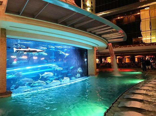 Golden Nugget, Mỹ: Kh&aacute;ch sạn v&agrave; casino ở th&agrave;nh phố Las Vegas c&oacute; tổ hợp nước The Tank, bao gồm m&aacute;ng trượt nước ba tầng cho ph&eacute;p du kh&aacute;ch vui chơi ngay s&aacute;t những con c&aacute; mập.
