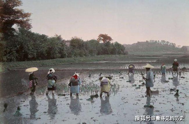 Thời điểm n&agrave;y, nghề n&ocirc;ng vẫn l&agrave; ng&agrave;nh chiếm vai tr&ograve; quan trọng đối với đất nước.
