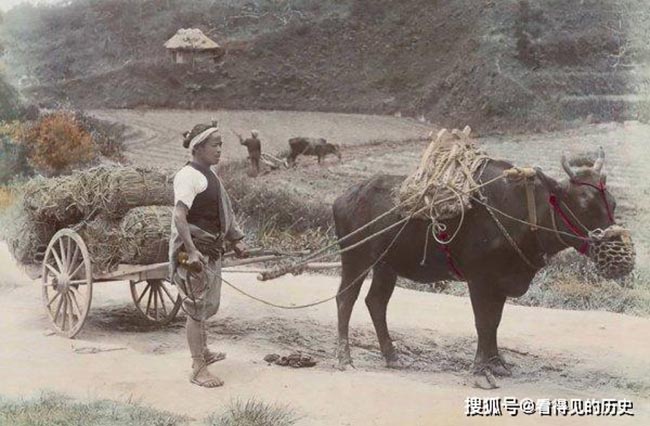 C&uacute; lột x&aacute;c gi&uacute;p Nhật Bản tho&aacute;t &Aacute;, thay đổi ho&agrave;n to&agrave;n theo hướng T&acirc;y &Acirc;u.
