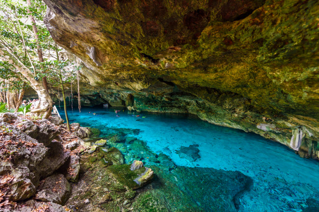 Dos Ojos, Mexico: Hang động ngập nước ở Tulum l&agrave; địa điểm lặn hấp dẫn đối với người d&acirc;n địa phương v&agrave; du kh&aacute;ch nước ngo&agrave;i. Nước dưới hang động rất trong v&agrave; bạn c&oacute; thể nh&igrave;n thấy c&aacute; v&agrave; t&ocirc;m bơi lội tung tăng từ tr&ecirc;n bề mặt
